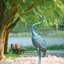 Statue de jardin Paidyn Crane-919461880
