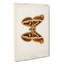 Ailanthus Silk-Moth - Wrapped Canvas Painting-55368727