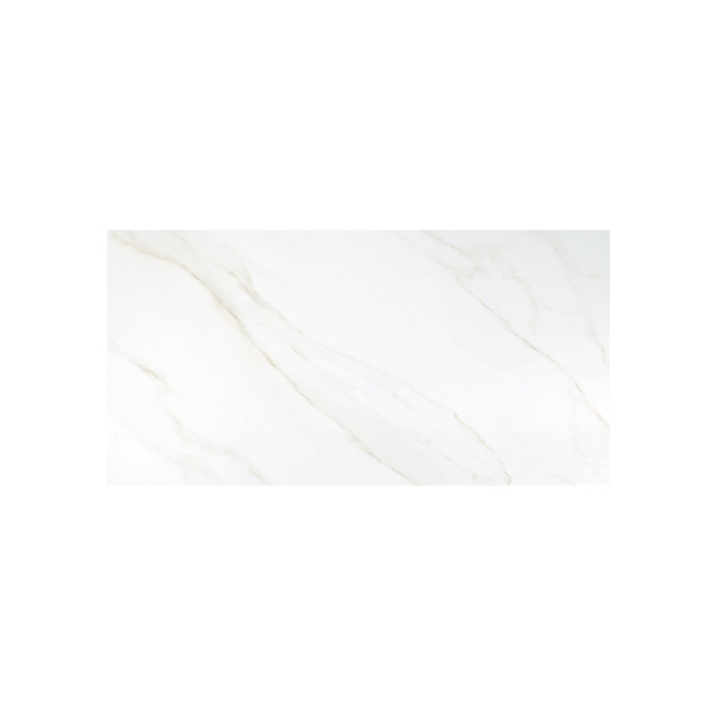 Nobleza Matte Porcelain Floor And Wall Tile (15.5 Sq. Ft./Case), 12" W x 24" L, Lugo