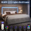 Lit double capitonné standard gris avec lumières DEL Gerasim-631845201-631845204