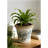 5.3X5.3X5.1" Ceramic Planter With Floral Pattern, Set Of 4