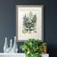 Collectionner Ferns VII Premium encadré mat - prêt à être accroché-1331941640-1331941650