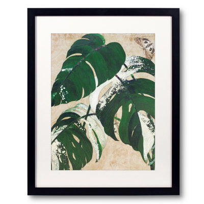 Variegated Monstera Delicioca Print by Karen Sikie
