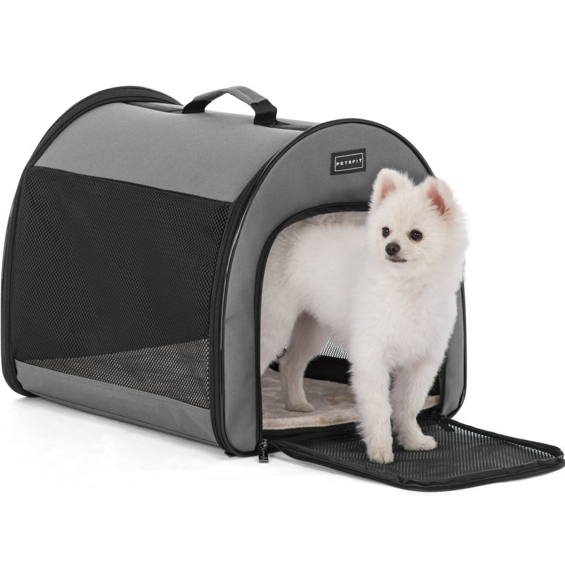 Caisse pour animaux, H 16 po x l 16 po x P 19 po, gris