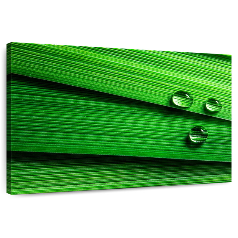 Gouttelettes Harnek sur feuille, H 32 po x l 48 po