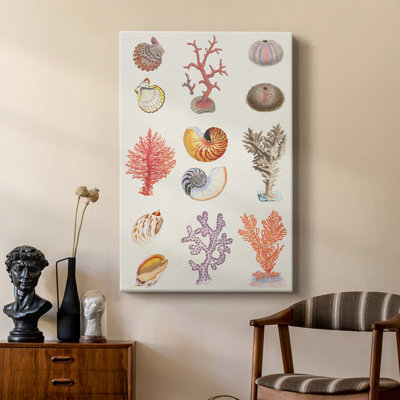 Coral & Shell Collage I -Custom Wrapped Gallery Cavas