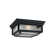 Tillinger Glass Flush Mount