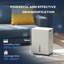 Quierra Dehumidifier