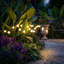 Éclairage solaire de jardin oscillant-120796609
