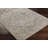 Hoeft Oriental Indoor Rug-1618583983