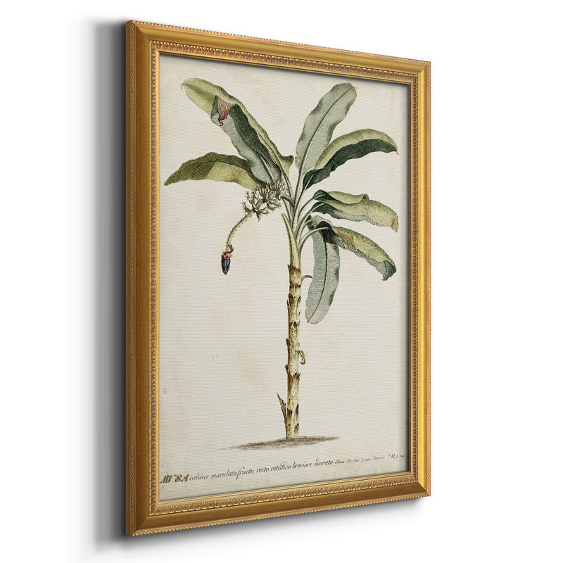 Toile encadrée Banana Palm II - prête à être accrochée, H 27 po x l 18 po x P 2,5 po