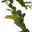 220 cm H Faux Palm Tree Plant in Ceramic Planter