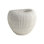Baleen Cachepot-Ivory w/Brown Edges
