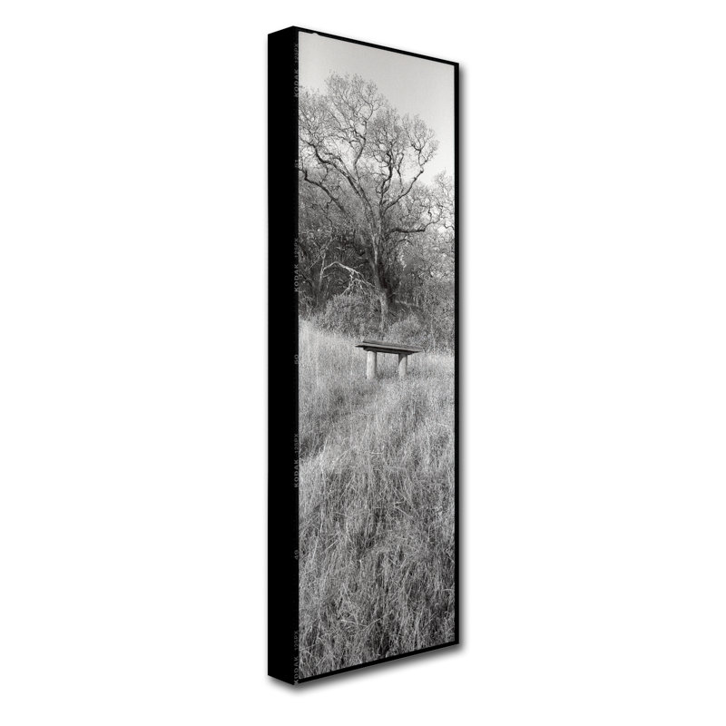 Alan Blaustein «Novato Oak», reproduction de photo sur toile tendue, H 19 po x l 6 po x P 2 po