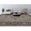 Oriental Area Rug-106955105
