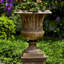 Smithsonian Planter-381637314