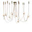 108" Long Castiliolite Trapeze 8 Light Chandelier