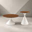Ensemble de 2 tables basses-1662822174
