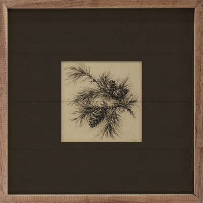 Brown Pine Cone Study