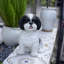 Polyresin Garden Statue