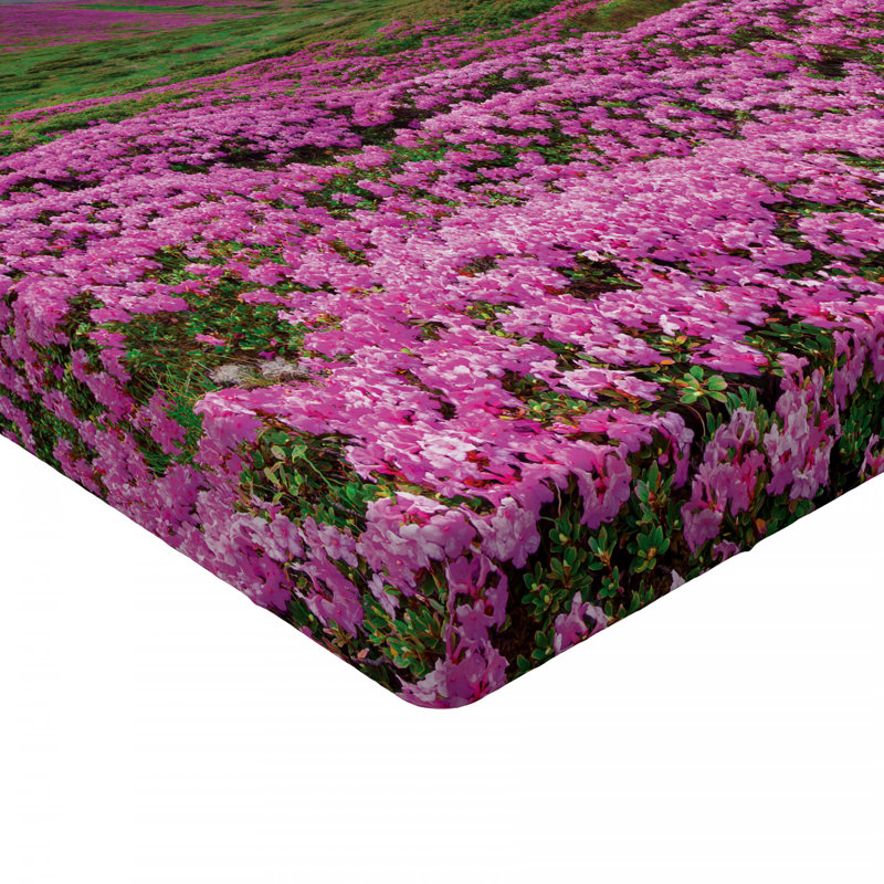 Microfiber Floral Fitted Sheet, Full Fitted Sheet