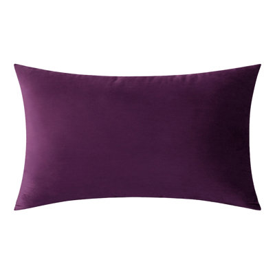  Coussin 12 po x 20 po avec insert