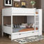 Lit superposé simple au-dessus de simple avec bibliothèque, cadre de lit superposé en bois avec 2 tiroirs et tablettes de rangement à plusieurs niveaux-146854833