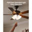 Ensemble de lumière de ventilateur de plafond, ensemble de lumière de ventilateur à quatre lumières 3000K 750lm avec chaîne de traction, luminaire de remplacement pour salon, chambre à coucher, décoration intérieure, abat-jour en verre blanc nuage nickel brossé, forme florale