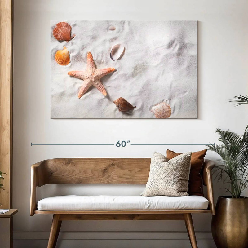 Beach seashells and starfish Aletra, H 32 po x l 48 po