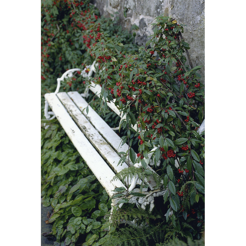 White Bench - Wrapped Canvas Print, 122cm H x 81cm W x 3.8cm D