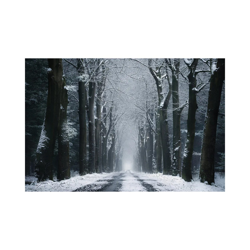 The Infinite Road by Rob Visser - Gallery-Wrapped Canvas Giclée on Canvas, No Frame, 20.32 cm H x 30.48 cm W
