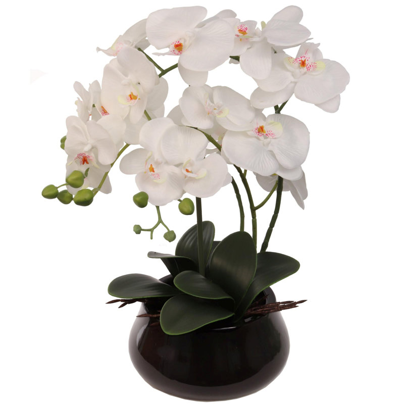 Paquet de 3 orchidées phalaenopsis blanches | Élégantes fausses orchidées dans des pots noirs de 7 po - Décoration réaliste pour la maison et le bureau
