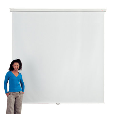 White Manual Projection Screen