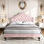 Wiedeman Velvet Bed-7142854-231304769