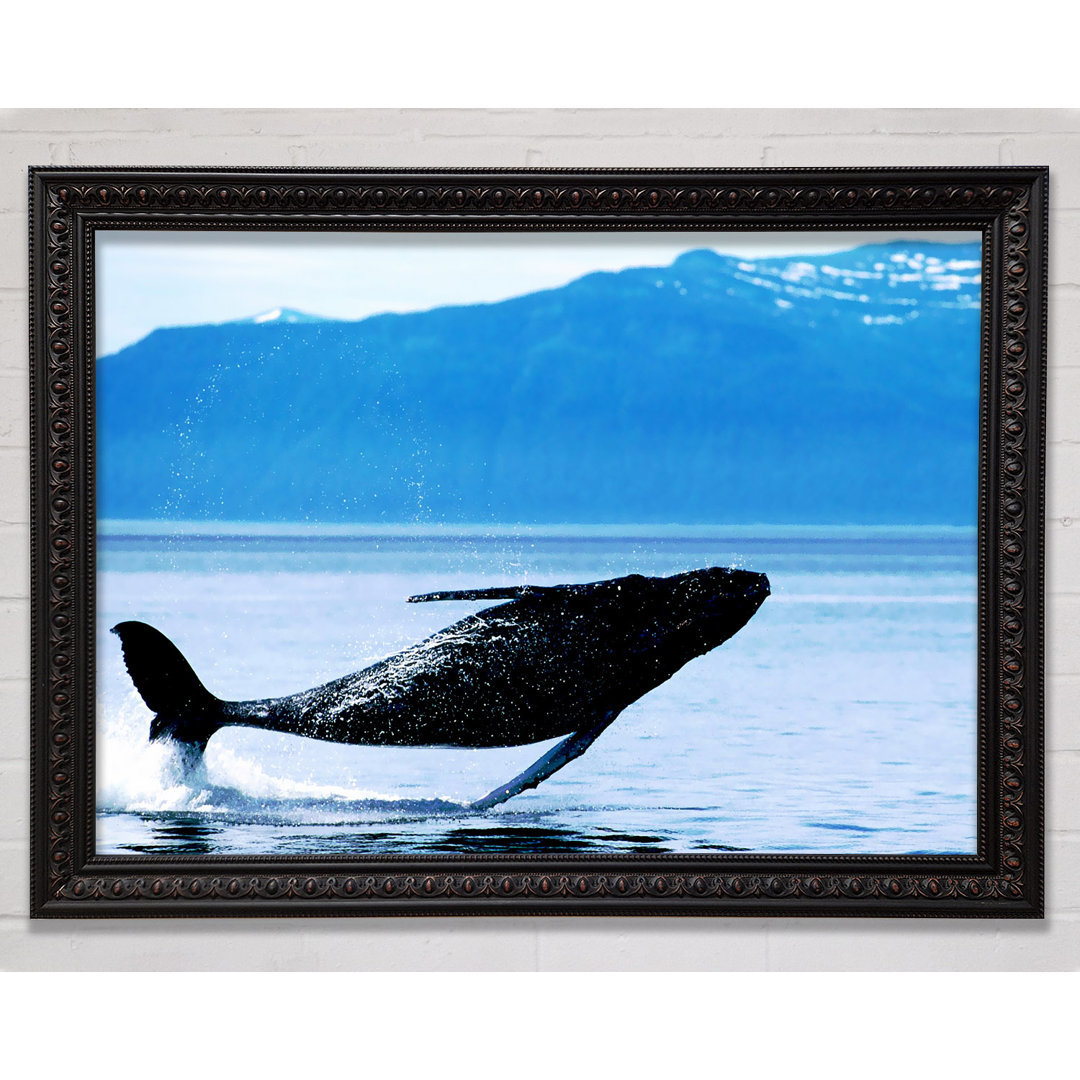 Whale Of A Time - Einzelner Bilderrahmen Kunstdrucke