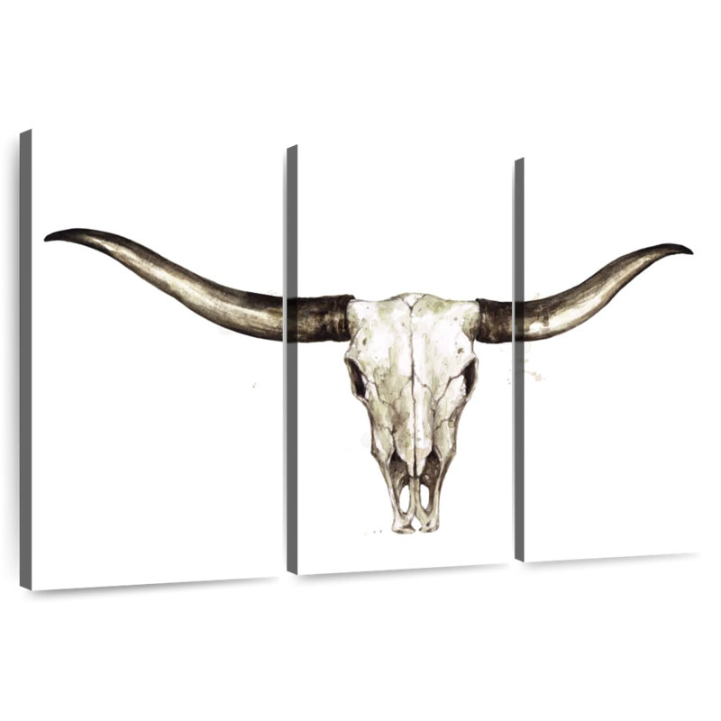 Crâne Kerner Longhorn, H 24 po x l 38 po