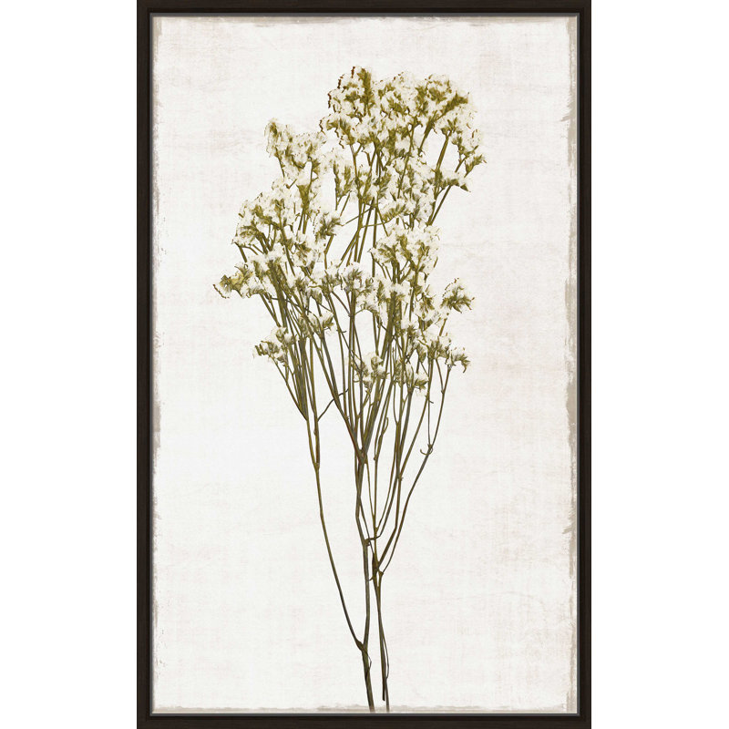 «Farmhouse Pressed Flower II» par Natalie Carpentieri - Peinture, L 21,5 po x H 33,5 po, Encadrement brun