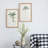 S/2 Tree Framed Print