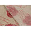 Distressed Homage Floral Area Rug-137890010