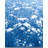 Colletti One-of-a-Kind 8' 2" X 9' 10" Area Rug Blue