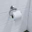 Wall Mounted Toilet Paper Holder