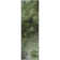 Premium Machine Washable Cerrito AMF590 Green Rug