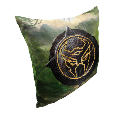 Indoor/Outdoor Pillow Cover