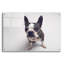 «Norton Moses» par Susan Sabo-810740767