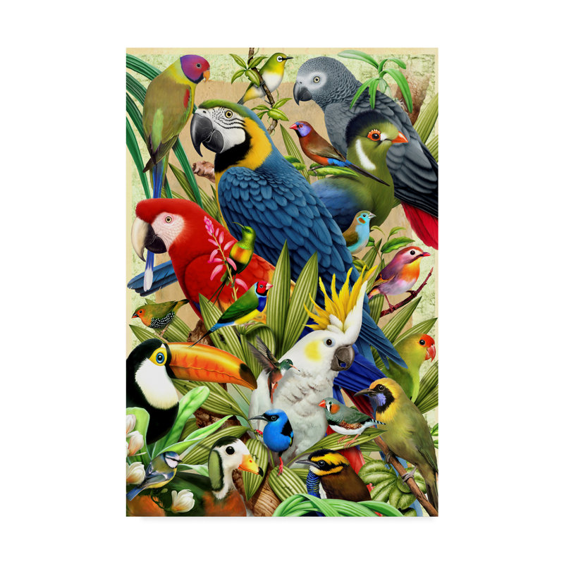 Tropical Colorful Birds Canvas Art, 20" x 25"