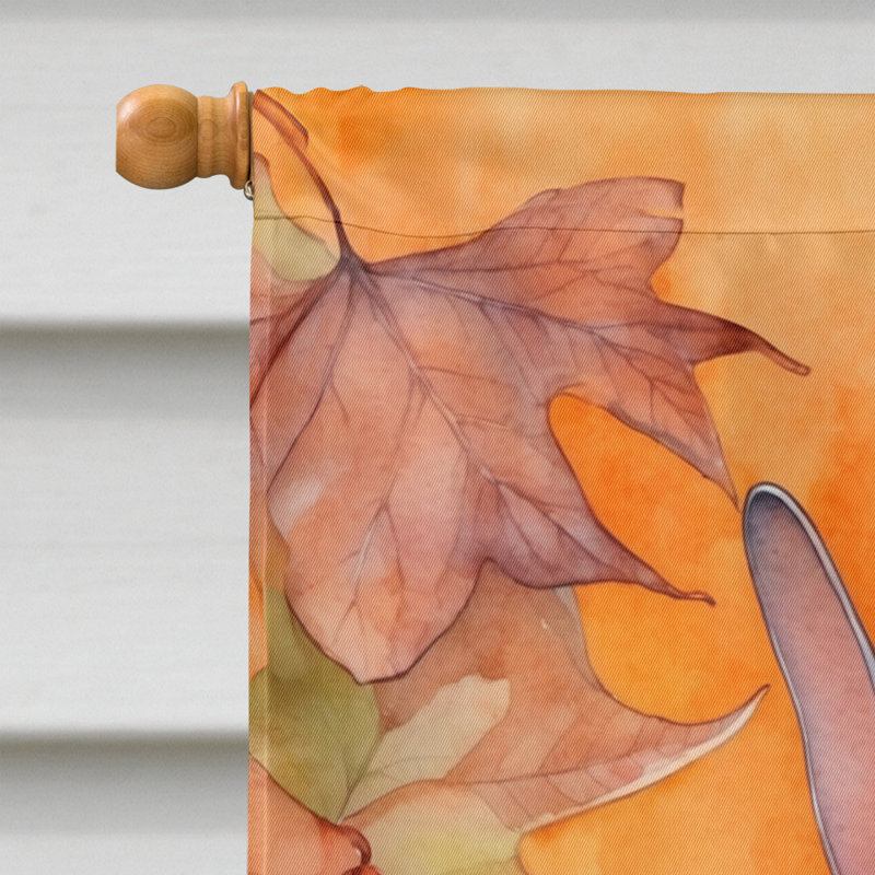 Chat en feuilles d'automne, Donskoy Don Sphynx