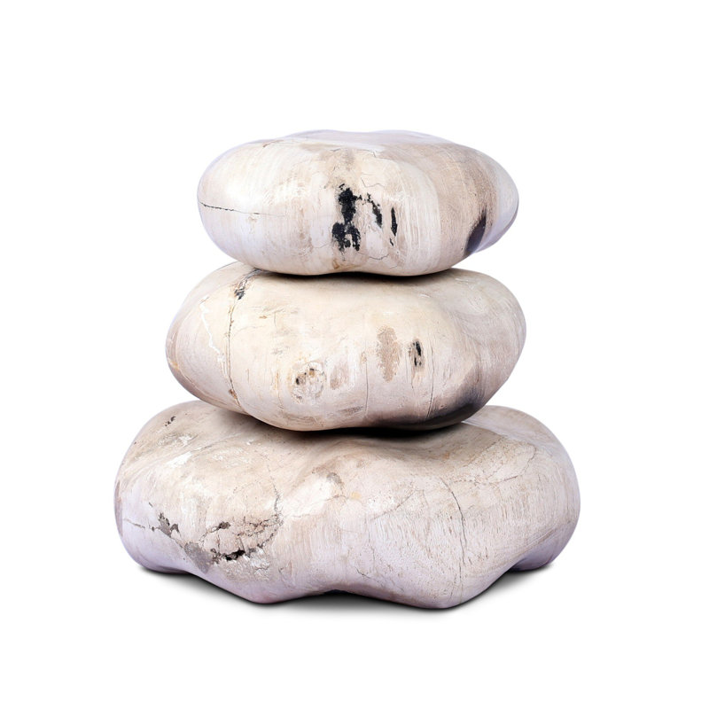 Petrified Wood Organic Sculpture, Light Brown