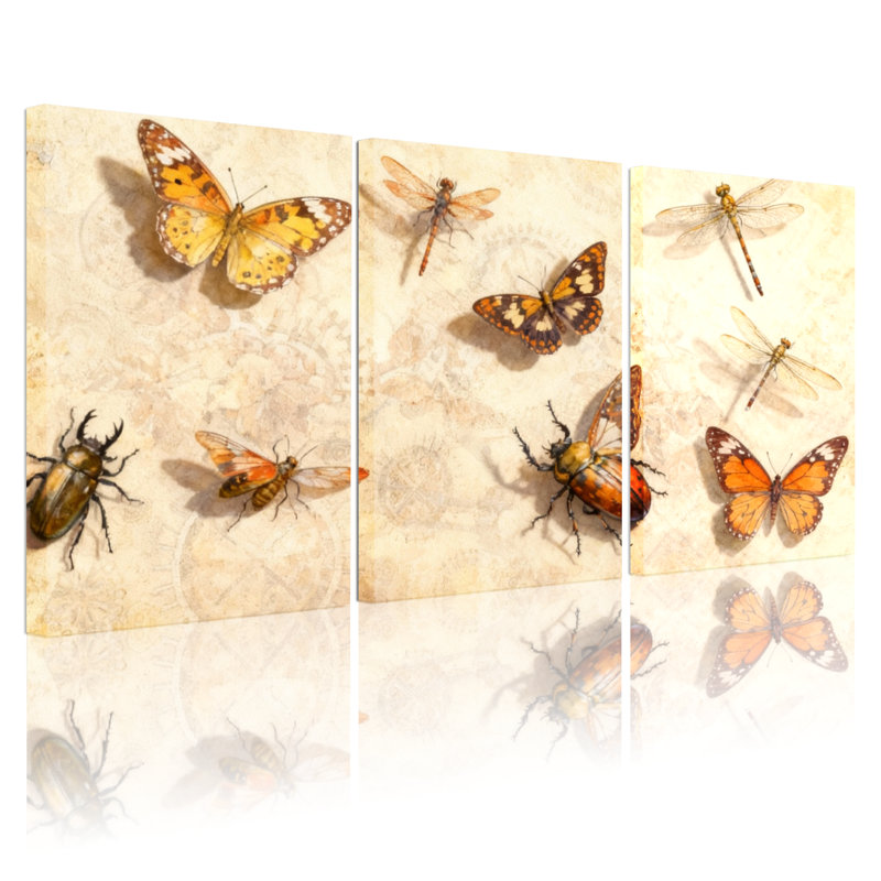 Mode, papillon, libellule, insecte, insecte, ensemble de 3 impressions sur toile, H 30 po x l 60 po