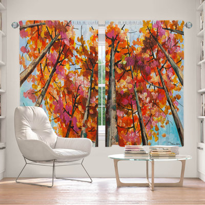 Room Darkening Curtain Pair