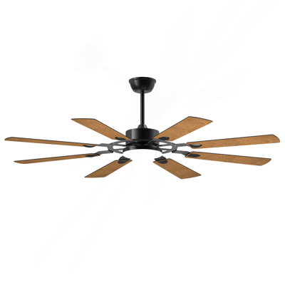 Ventilateur de plafond de 52 pouces avec lumières et télécommande, 8 pales en contreplaqué, moteur à courant continu réversible silencieux à 6 vitesses, ventilateur de plafond 3cct pour cuisine, salon, noir